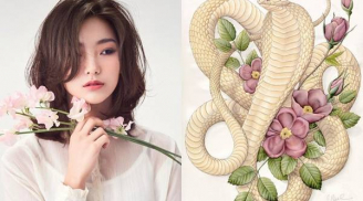 5 con giáp số trời đã định càng mập càng giàu, chồng con được nhờ, đừng cố giảm cân mà hao tổn phúc khí