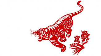 Từ 19/10, 4 con giáp này sẽ có cuộc sống thăng hoa, tiền tài, sự nghiệp, tình duyên đều trọn vẹn