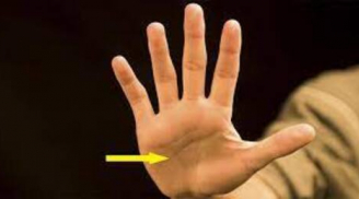 9 đường vân trên tay báo hiệu người có số mệnh giàu có, hạnh phúc viên mãn: Ai có 1/9 cũng sướng hơn người