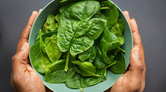 5 đối tượng tránh ăn rau mùng tơi, ăn vào hại đủ đường