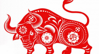 Mệnh trời đã định: 3 con giáp xui tận mạng trong năm 2023, dễ bị tiểu nhân lừa lọc