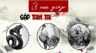 Chạy trời không khỏi nắng: 3 con giáp hết Tam Tai phát tài 3 năm tới, 2 tuổi tai ương dính hạn nặng