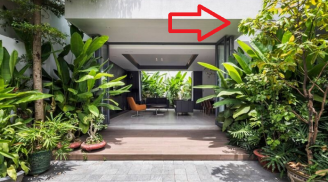 4 loại cây trồng trước 'xua đuổi' thần Tài, trồng sau nhà hút vận may, ba đời sau còn ứng nghiệm