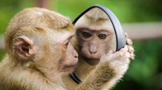 Ngày mai 28/10: 3 con giáp phú quý tìm đến nhà, tiền vàng rủng rỉnh