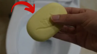 Thả miếng xà phòng vào bồn cầu: Nam hay nữ đều có lợi, ai không biết tiếc hùi hụi