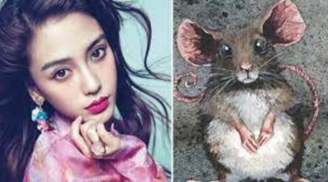 Tháng 12 dương: 3 con giáp 'chuột sa hũ nếp' được Tam Hợp cục độ mệnh, đổi vận giàu có bất ngờ