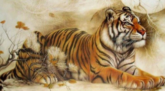 Tuần mới (21-27/11):  2 tuổi thành công trong tầm tay, 1 tuổi vướng họa tiểu nhân