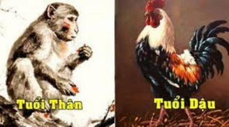 Ngồi mát ăn bát vàng, 3 con giáp được thần Tài mỉm cười, chính thức thoát khổ, tiền bạc cứ thể chảy vào két