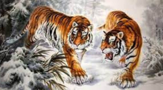 Tháng 12 ai đen cứ đen: 4 con giáp vận đỏ như son, đổi đời giàu sang, đón Tết rực rỡ