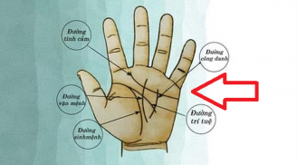 Thần Tài đánh dấu: Lòng bàn tay có 4 dấu hiệu này báo trước vận đỏ số son, số 2 hiếm gặp nhất