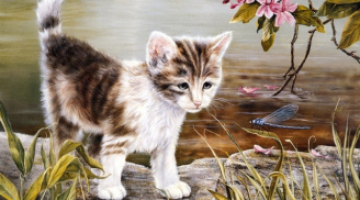 Thần Tài nhả vía: 4 tuổi làm chuyện gì cũng may mắn, tiền gửi 1 lãi 10 từ 10/12 đến 20/12