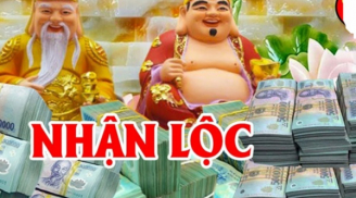 Quý Mão 2023: 3 con giáp là 'máy in tiền', giàu sang chạm đỉnh, 1 tuổi tài vận xuống dốc