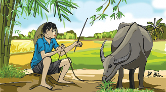 Tuần mới (19-25/12): 2 tuổi tài lộc đầy tay, 1 tuổi vướng họa tiểu nhân khó đạt thành công