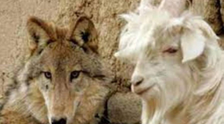 3 con giáp hên nhất 6 tháng đầu năm 2023, số đỏ như son, phất lên như diều gặp gió, tiền vào chật két