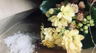 Hoa giả, hoa lụa lâu ngày bám bụi bẩn, áp dụng 7 mẹo này giúp làm sạch nhàn tênh