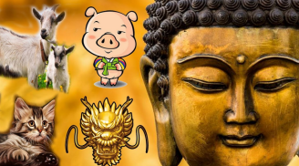 Mệnh Trời đã định: 4 tuổi là con nhà Phật, sống chẳng bon chen vận may tự đến