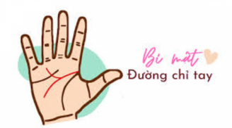 Lòng bàn tay có 4 dấu hiệu này báo hiệu hỷ tín tới nhà, vượng tài vận, càng già càng phát tài