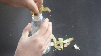 Nhét vỏ khoai tây vào vỏ chai nước rỗng, tưởng chẳng để làm gì mà mang lại lợi ích không ngờ