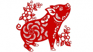 Số trời đã định: 4 tuổi hút cạn lộc trời, làm đâu trúng đó, ngồi không cũng ra tiền trong 13 ngày tới