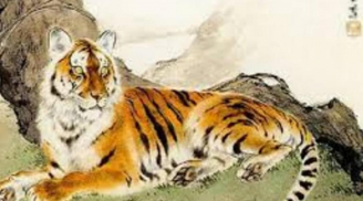 Đón điềm lành đầu năm 2023, 3 con giáp có Quý nhân độ, sự nghiệp thăng hoa, Tiền-Tình-Tài như ý