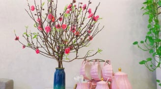 Muốn hoa đào bung nở đúng dịp Tết, chỉ cần cho cây “uống” đều đặn 5 loại nước “thần dược” này