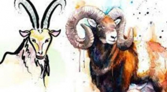 3 tuổi muốn nghèo cũng khó: 6 tháng đầu năm 2023 kiếm bộn tiền, cuối năm tha hồ hưởng lộc