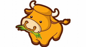 Từ mai trở đi, 4 con giáp xòe tay hứng tiền, giàu có phát hờn