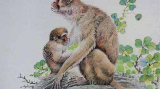 Cuối tuần này: 3 con giáp có hạn về tiền bạc, cẩn thận ôm về đống nợ