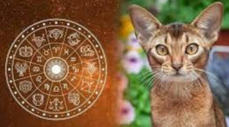 Mệnh Trời đã định: 4 tuổi là con cháu Thần tài dễ 'trúng số' đổi đời, chẳng cần bon chen giàu sang tự đến