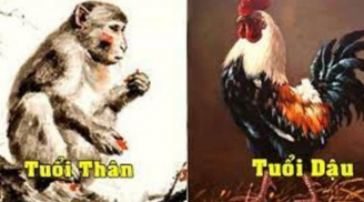 Xởi lởi Trời cởi ra cho: 4 tuổi thiện lương hưởng lộc, 2023 đổi đời giàu có, năm 2024 tiền chất đầy nhà