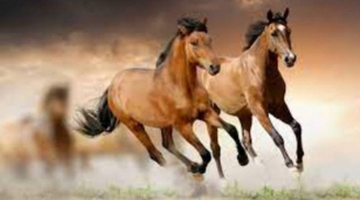 Đúng mùng 10 tháng Giêng: 3 con giáp ăn lộc Tổ Tiên, Thần tài ưu ái, làm đâu trúng đó giàu 'nứt vách'