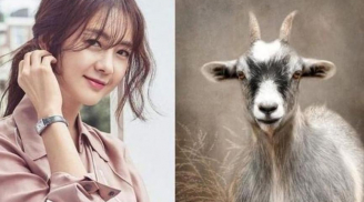 Thần Tài gọi tên: 3 tuổi đón cơn mưa tiền bạc, hút trọn tài lộc, vượng khí phất thêm gấp 5, gấp 10 lần