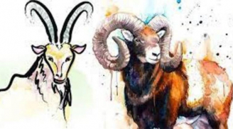 Đức năng thắng số: 3 tuổi sinh ra được Phật Bà che chở, ăn ở hiền lành lộc tự về tay