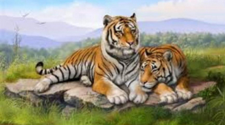 Qua đêm nay, 3 con giáp Cá chép hoá Rồng, vận may ngập tràn đếm tiền mỏi tay