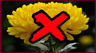 3 loại hoa để trên bàn thờ là mất lộc, cầu khấn mấy cũng chẳng thấy linh ứng