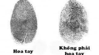 Cổ nhân nói '3 hoa 7 ốc thì giàu': Đếm số hoa tay, biết ngay vận mệnh giàu sang hay nghèo khó suốt đời