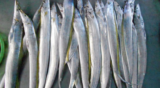Người bán cá tiết lộ: Đi chợ thấy 5 loại cá này mua ngay về, cá tự nhiên sạch 100% không lo hóa chất