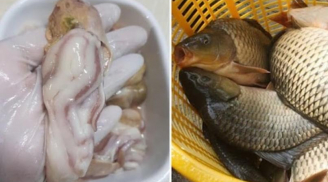 Người bán cá tiết lộ: 5 bộ phận 'đại bẩn' của cá, tiếc đến mấy cũng đừng ăn kẻo rước bệnh