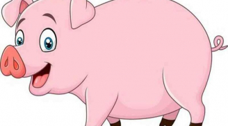 3 con giáp biết nhìn xa trông rộng, sự nghiệp ngày càng bền vững
