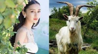 Tuần mới (6-12/3): 3 tuổi sa hố tài lộc, giàu lên bất chấp, 1 tuổi cẩn trọng họa ập đến