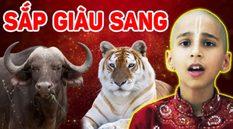 4 tuổi được lộc làm ăn năm 2023: Tiền vào như nước, cuối năm mua nhà tậu xe