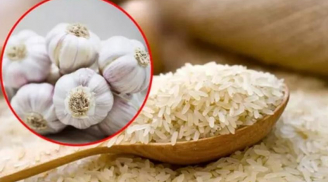 Vùi nắm tỏi vào thùng gạo: Công dụng bất ngờ, đảm bảo ai cũng muốn học theo