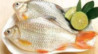 Loại cá chỉ 20 nghìn đồng mua được cả mớ, nhiều người chê nhưng cực giàu dinh dưỡng, ăn vào 'bổ ngang bổ dọc'