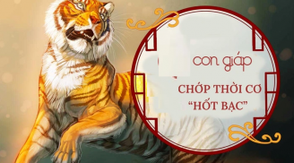Số mệnh cát lợi phát tài: 4 tuổi này chộp đúng thời đổi vận thành đại gia, 3 năm tới tiền nhiều vô kể