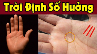 Bất kể nam hay nữ: Thấy 4 dấu hiệu cực phẩm này trong lòng bàn tay đều có lộc, số hưởng đến già