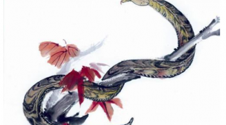 Tuần mới (13-19/3): 2 tuổi có cát tinh kề bên, 1 tuổi nguy cơ làm ăn thất thoát