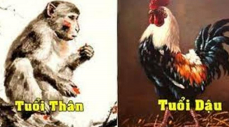 Ngọc Hoàng chỉ mặt 3 con giáp tài vận hanh thông, công danh vượng phát, trở thành đại gia chỉ là chuyện sớm muộn