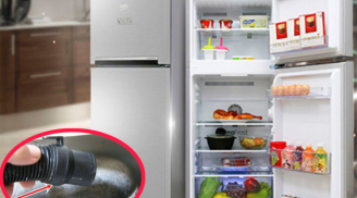 Tủ lạnh có 1 cơ quan nhỏ, tháo ra lau một lần tiết kiệm cả triệu tiền điện