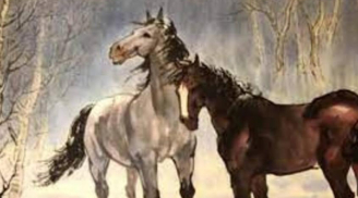 4 tuổi đỏ nhất 2 tháng tới: Thần tài ban lộc, chẳng bon chen tiền của tới đầy nhà