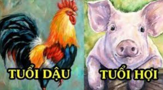 Đúng 6 tháng cuối năm: Vận quý nhân rực rỡ, 4 tuổi tiền tỷ tiêu 3 đời không hết